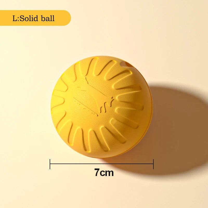 Flying Disc + Ball + Tug Rope