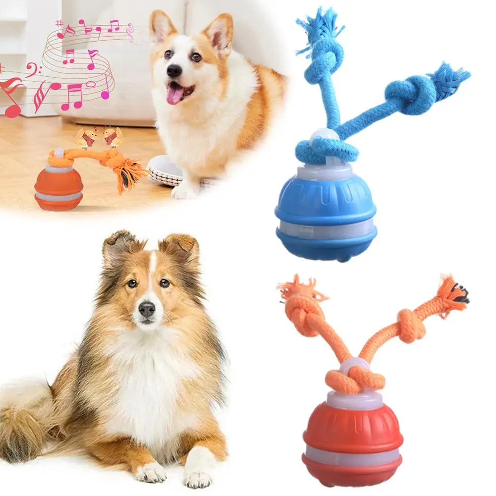 Pet Ball Interactive Toys for Dogs Motion Activate Rolling Ball for Puppy/Small Dogs Automatic Moving Toy USB Rechargeable Toy
