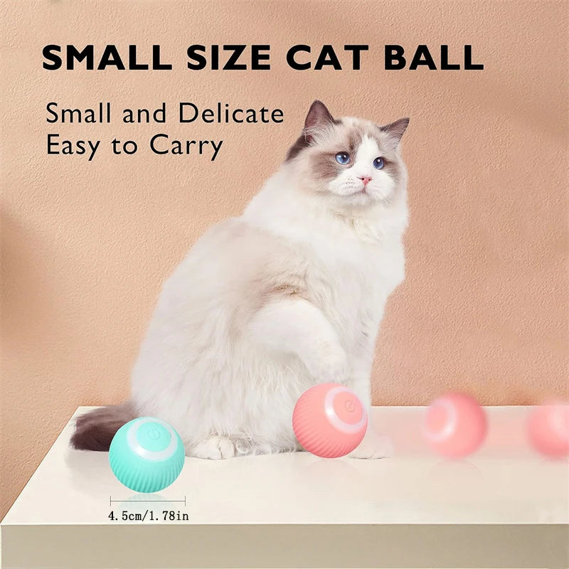 Smart Dog Toys Ball