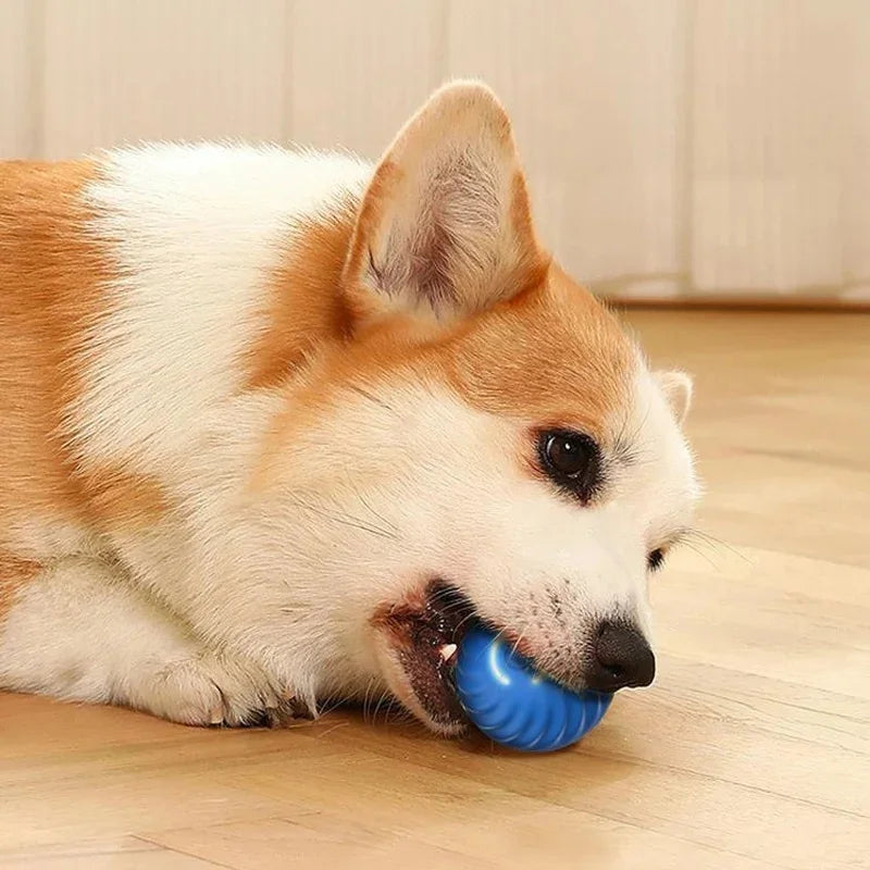 Smart Dog Toys Ball