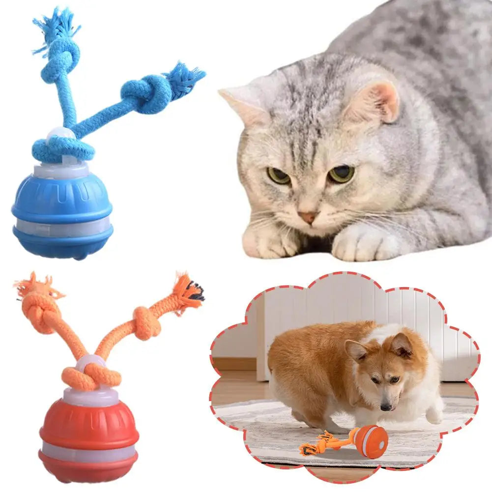 Pet Ball Interactive Toys for Dogs Motion Activate Rolling Ball for Puppy/Small Dogs Automatic Moving Toy USB Rechargeable Toy