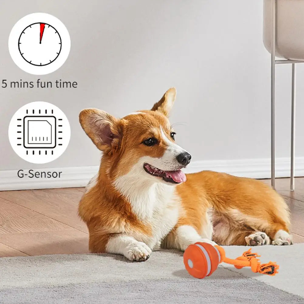 Pet Ball Interactive Toys for Dogs Motion Activate Rolling Ball for Puppy/Small Dogs Automatic Moving Toy USB Rechargeable Toy