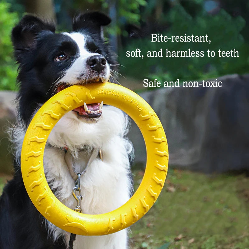 Flying Disc + Ball + Tug Rope