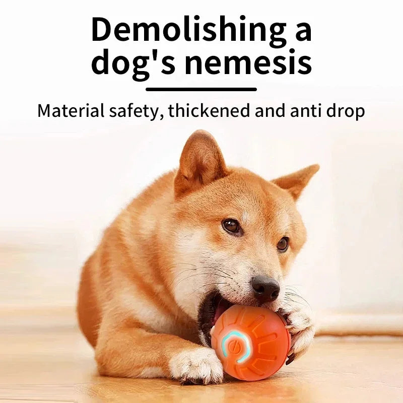 Smart Dog Toys Ball