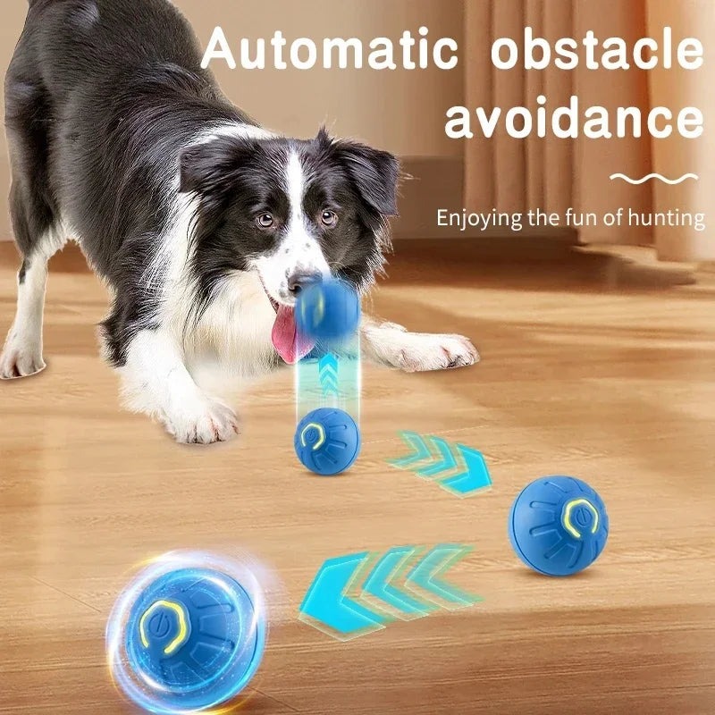Smart Dog Toys Ball