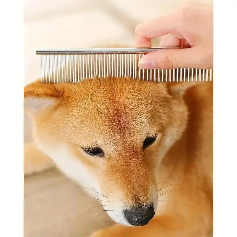 Pet Safe Scissors