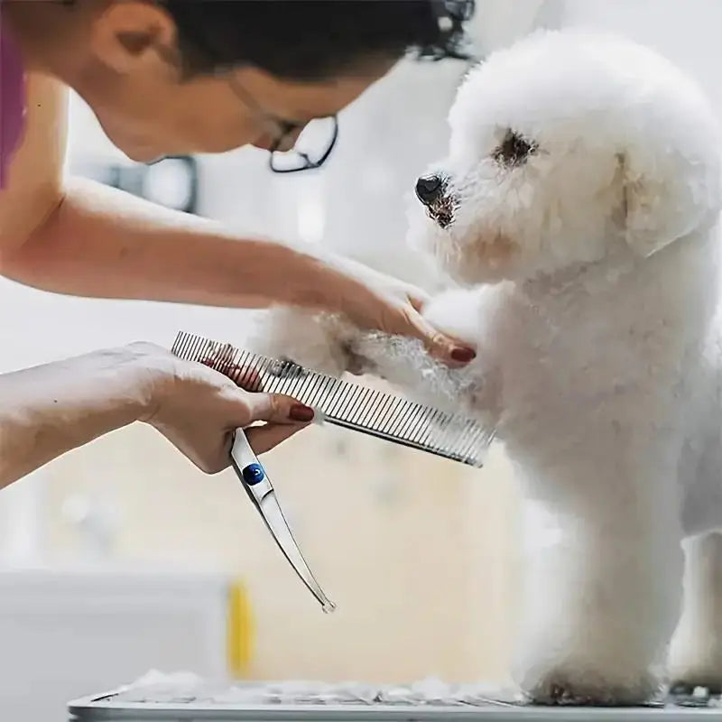 Pet Safe Scissors