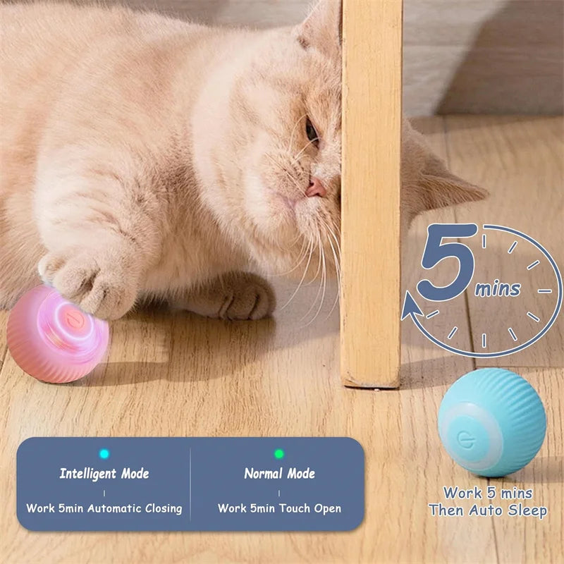 Smart Dog Toys Ball