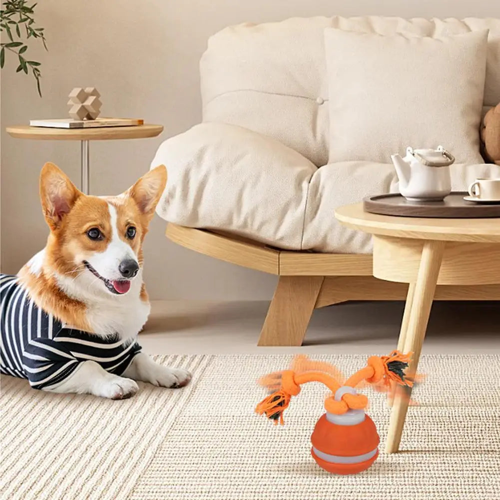 Pet Ball Interactive Toys for Dogs Motion Activate Rolling Ball for Puppy/Small Dogs Automatic Moving Toy USB Rechargeable Toy
