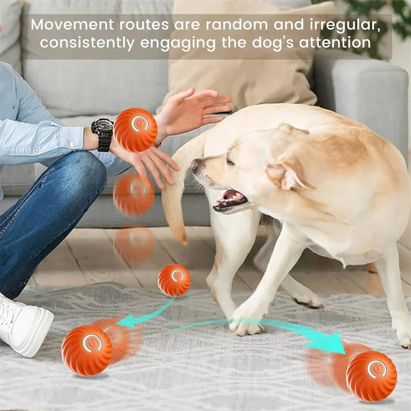 Smart Dog Toys Ball