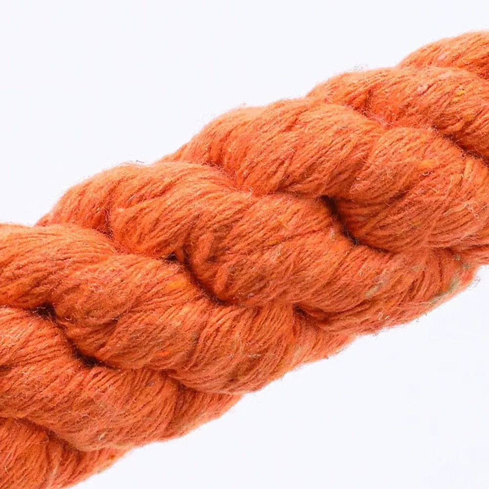 Carrot Dog Bite Rope