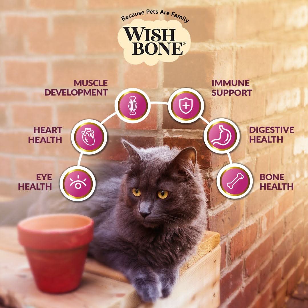 Wishbone Graze Beef and Lamb Dry Cat Food