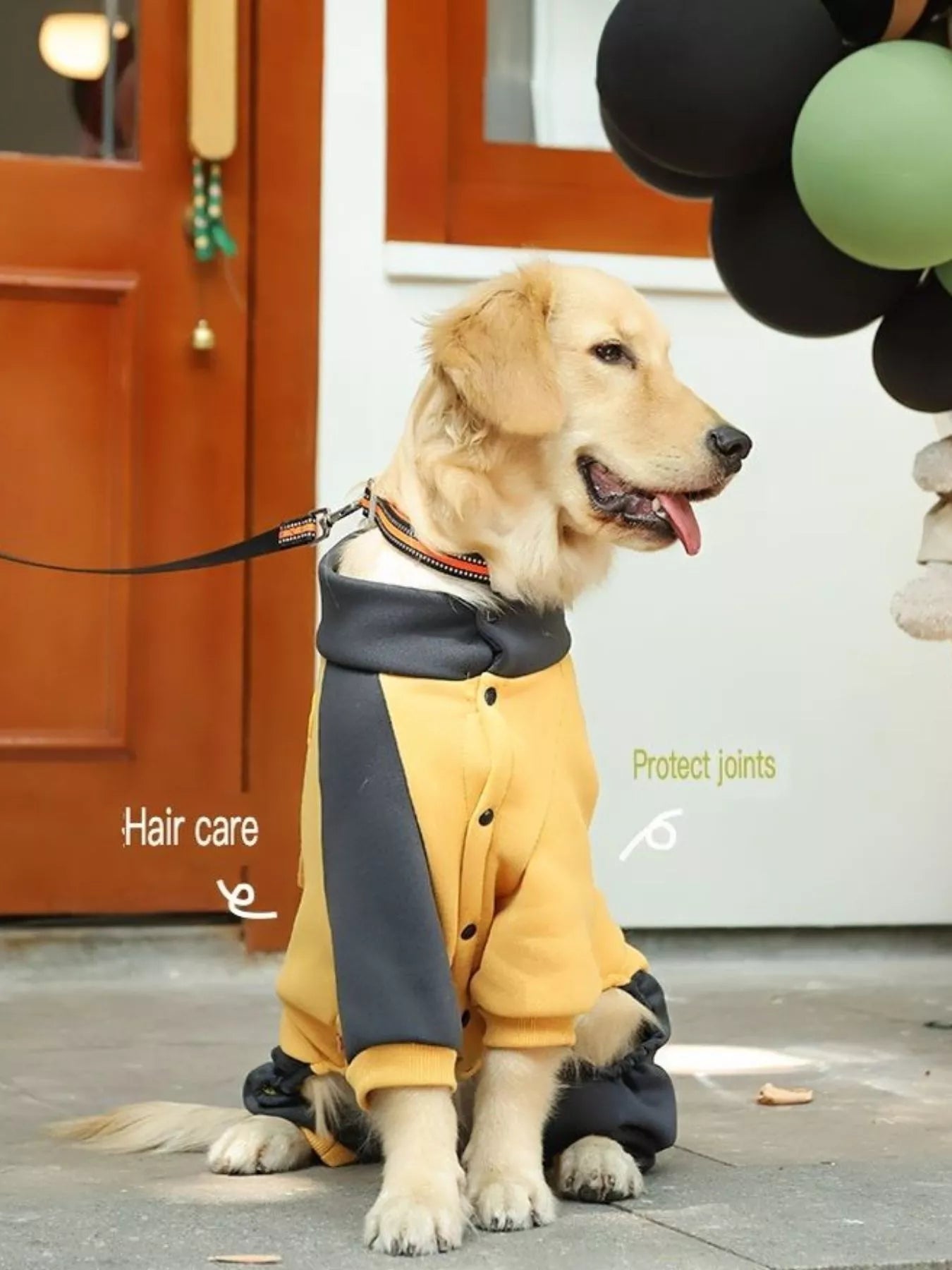 Two-Tone Dog Jacket