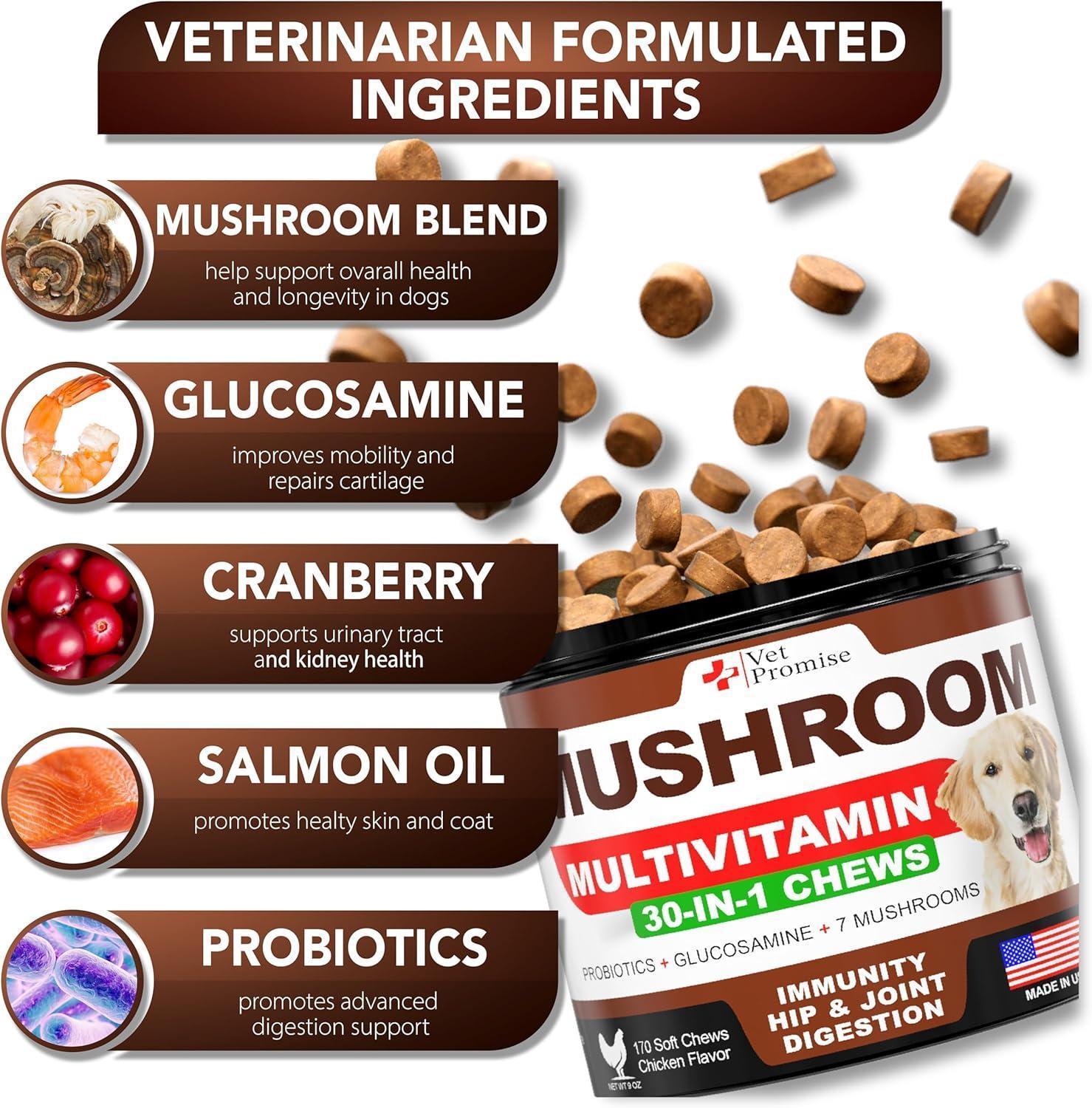 Mushroom Chews for Dogs 170 Count Turkey Tail Lion&