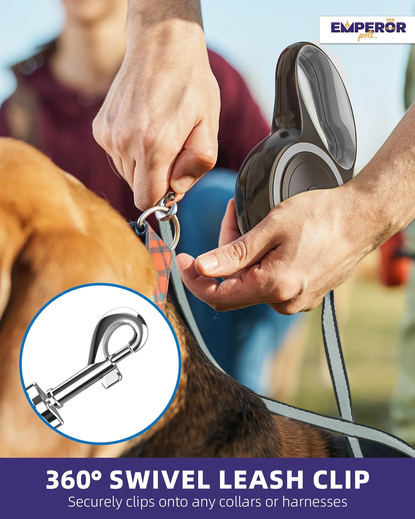 Unleash Adventure! ๐ 16ft Heavy-Duty Retractable Leash for Large Dogs (up to 110lbs) ๐พ