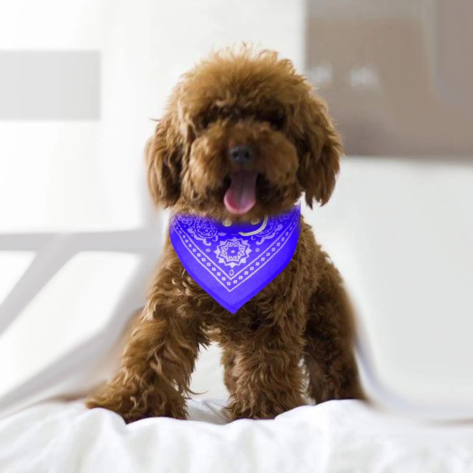 Adjustable Bandana Pet Collar Leather Triangle Scarf