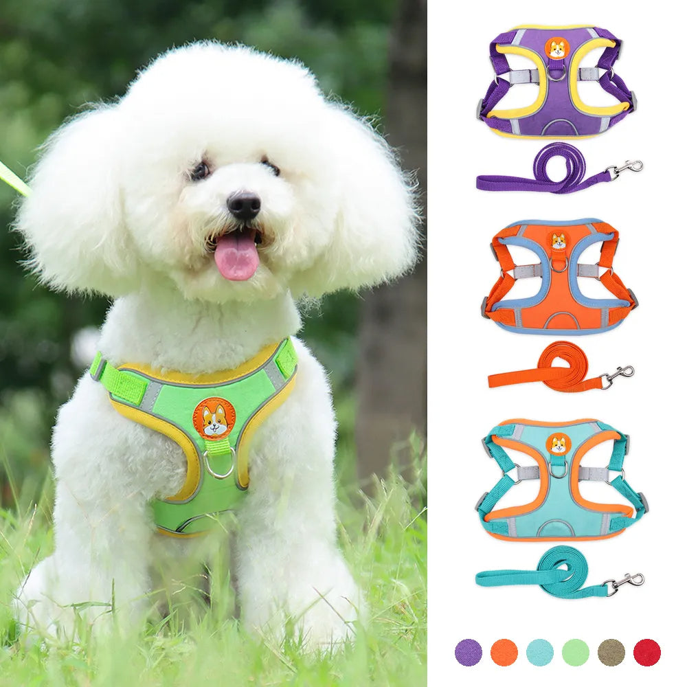 No Pull Harness and Leash set For Small Dogs
