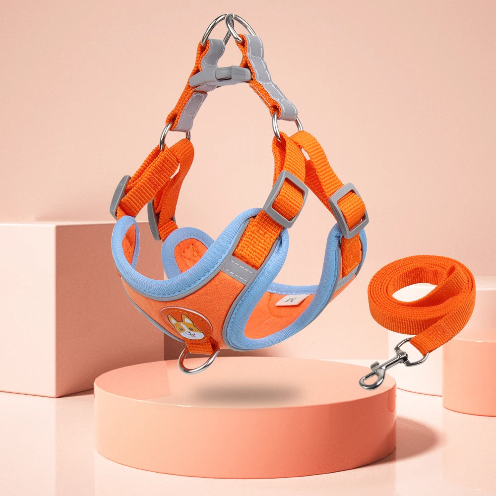 No Pull Harness and Leash set For Small Dogs