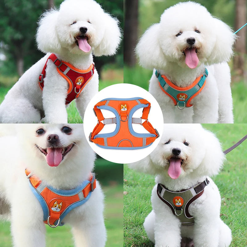No Pull Harness and Leash set For Small Dogs