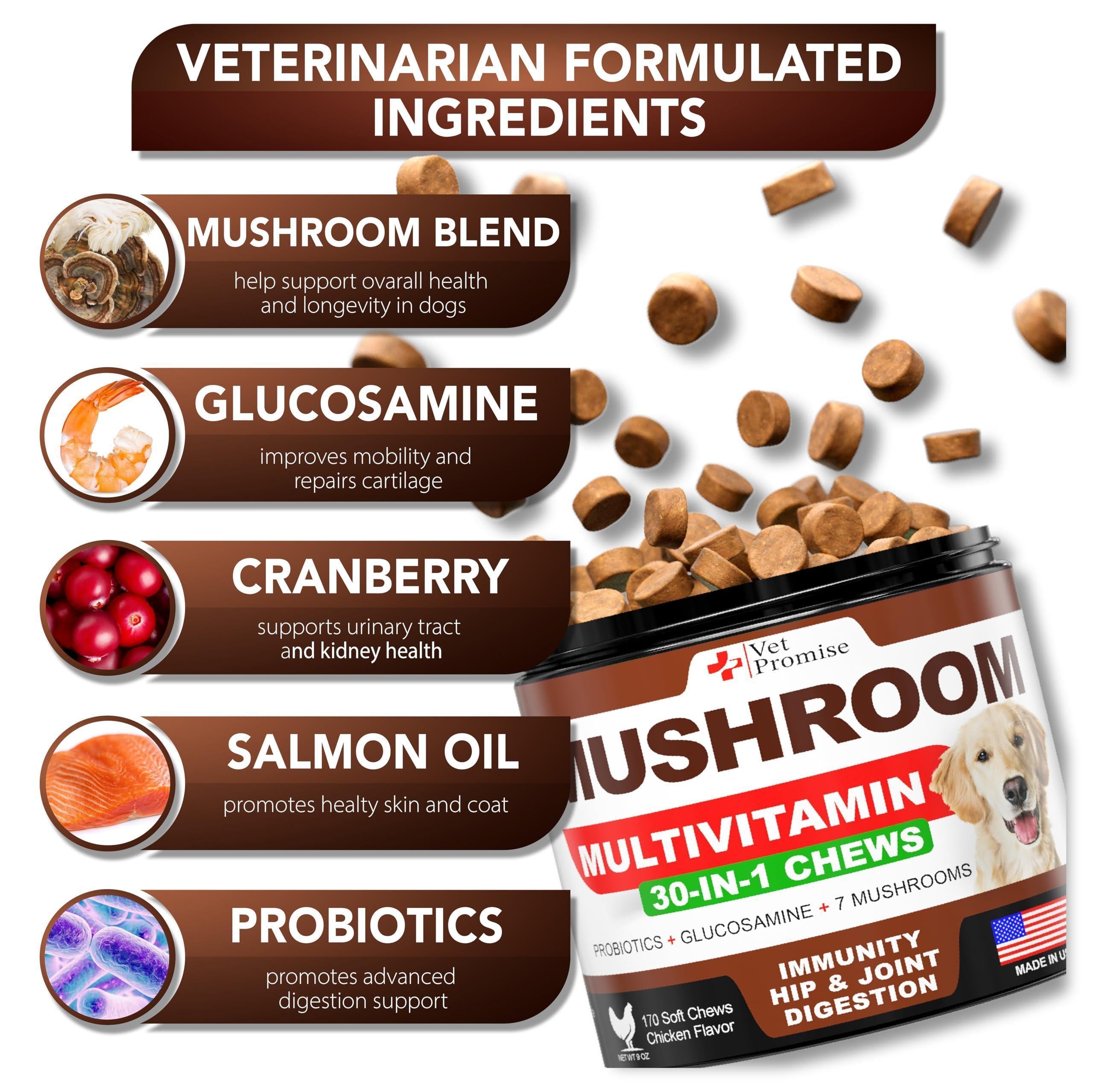 Mushroom Chews for Dogs 340 Count 2-Pack Turkey Tail Lion&