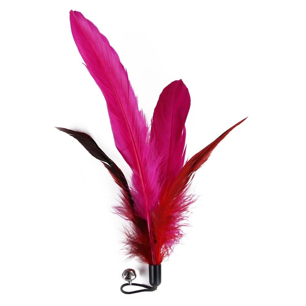 Cat Feather Toy Set Cat Feather Teaser Wand Toy for Kitten Cat Having Fun Exercise Playing Without the Stick Interactive Cat Feather Toys Retractable Cat Wand Toy and Feathers Teaser Refills Cat Toys for Indoor