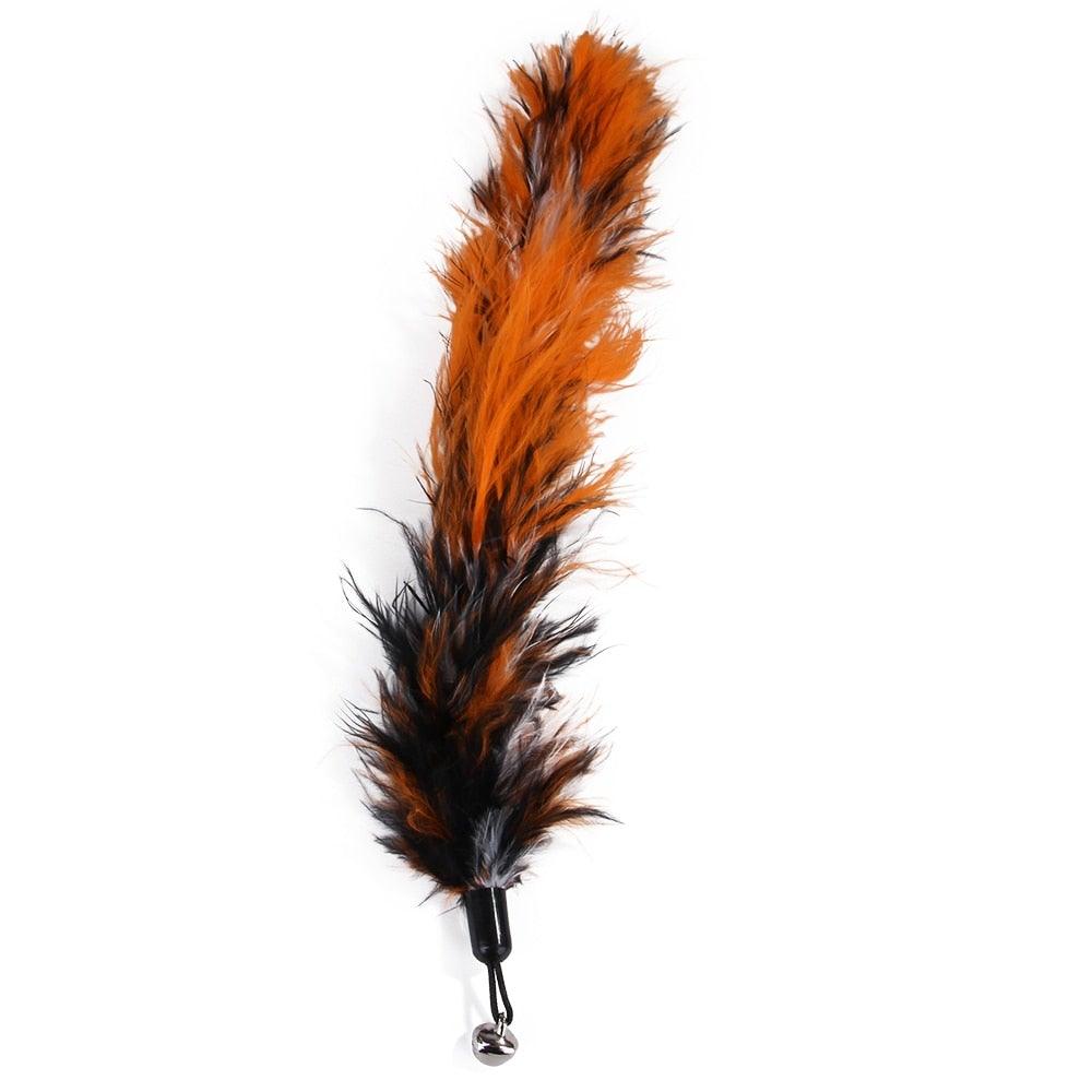 Cat Feather Toy Set Cat Feather Teaser Wand Toy for Kitten Cat Having Fun Exercise Playing Without the Stick Interactive Cat Feather Toys Retractable Cat Wand Toy and Feathers Teaser Refills Cat Toys for Indoor