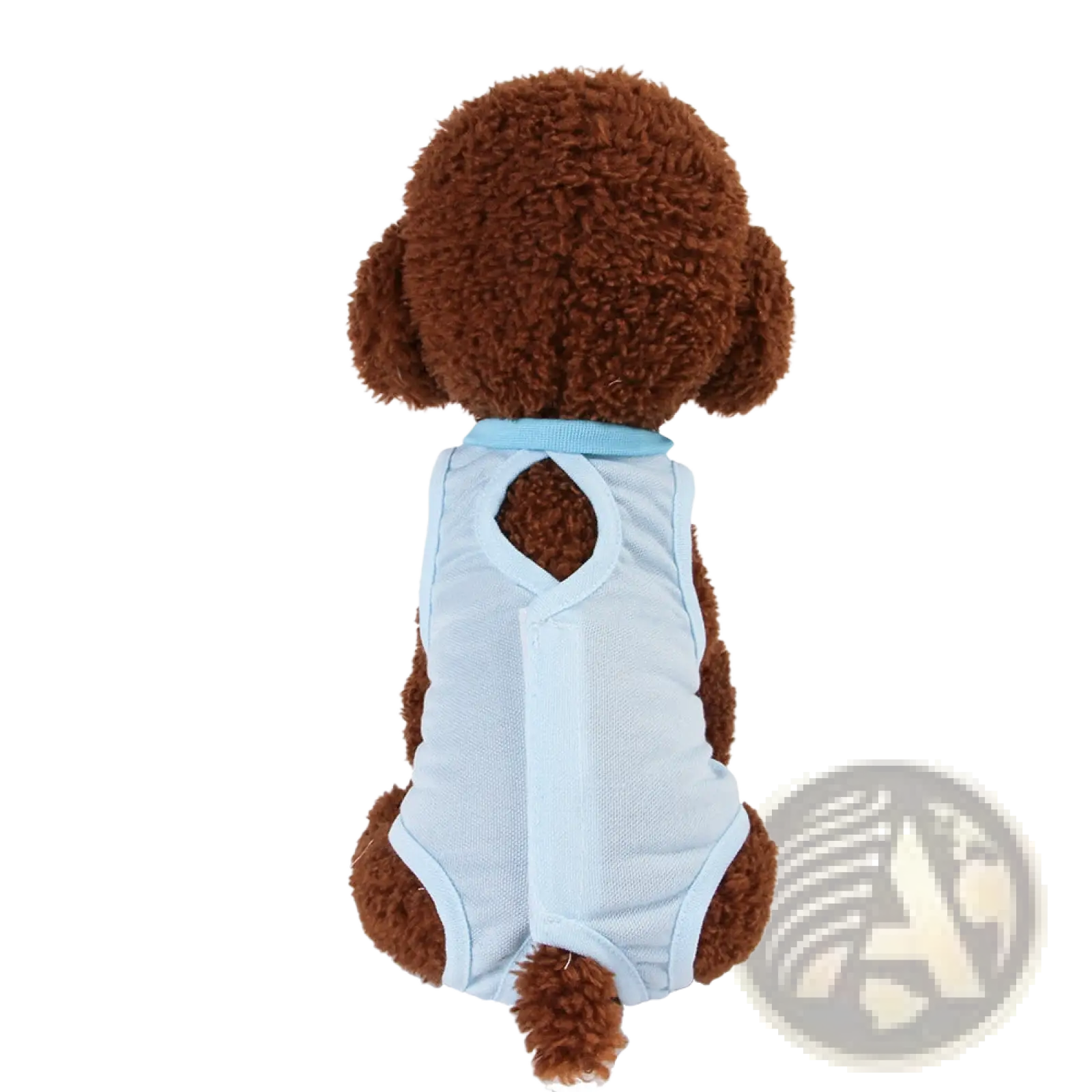 Cat Sterilization Recovery Suit Breathable Pet Vest
