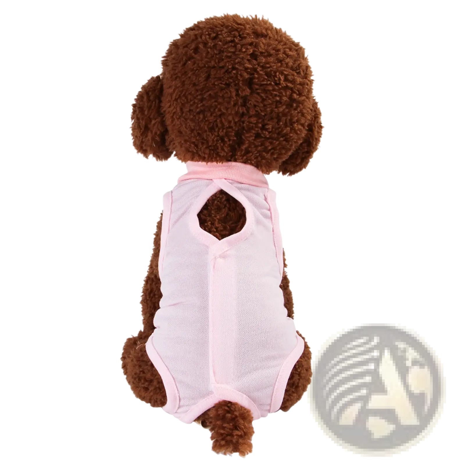 Cat Sterilization Recovery Suit Breathable Pet Vest