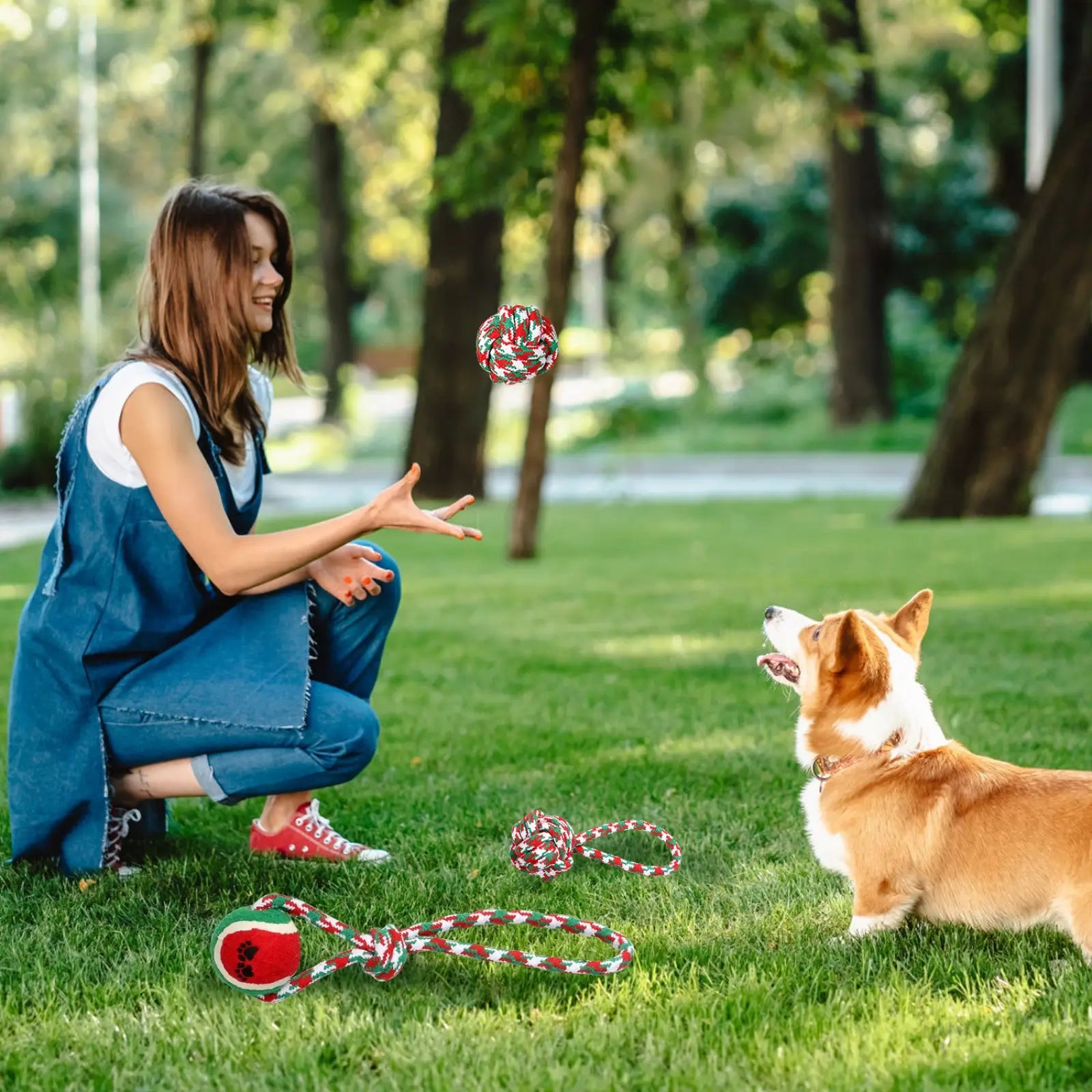 Christmas Dog Rope Toys 5pcs Teething Chew Set