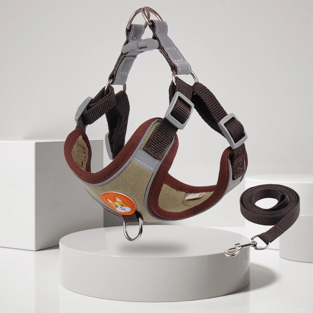 No Pull Harness and Leash set For Small Dogs