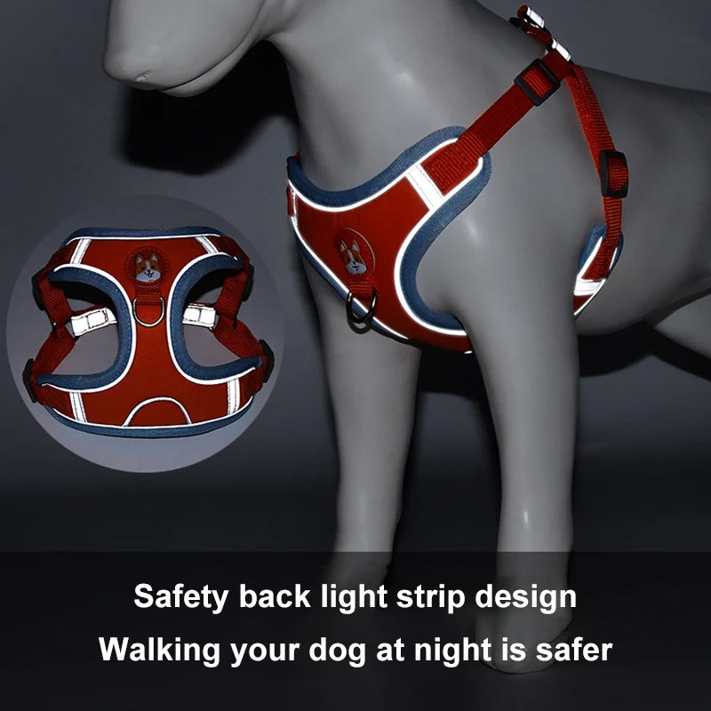 No Pull Harness and Leash set For Small Dogs