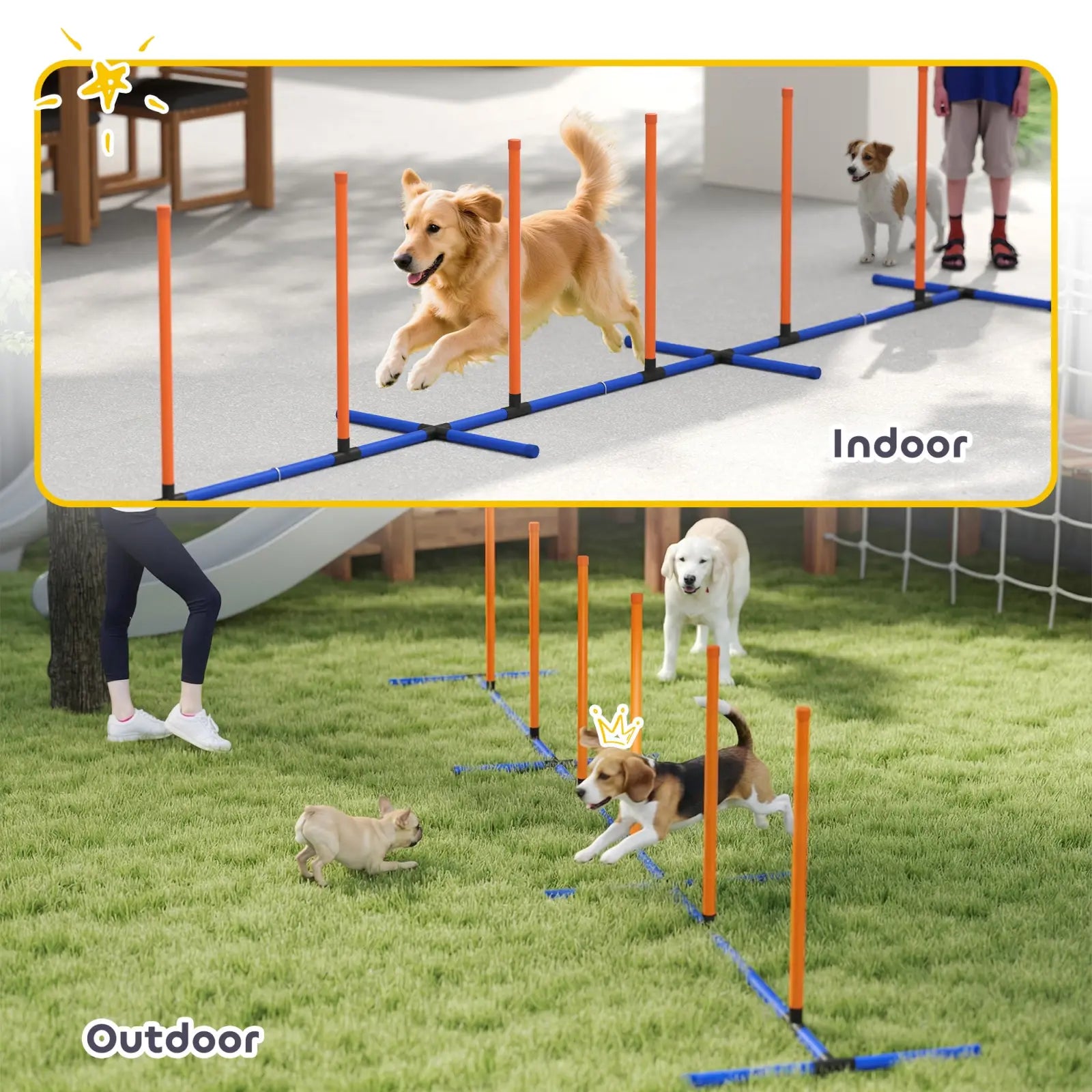 Dog Agility Training Equipment with Adjustable Poles
