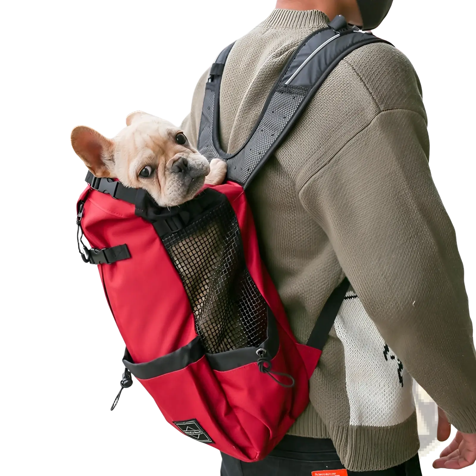 Dog Carrier Backpack Portable Mesh Travel Bag