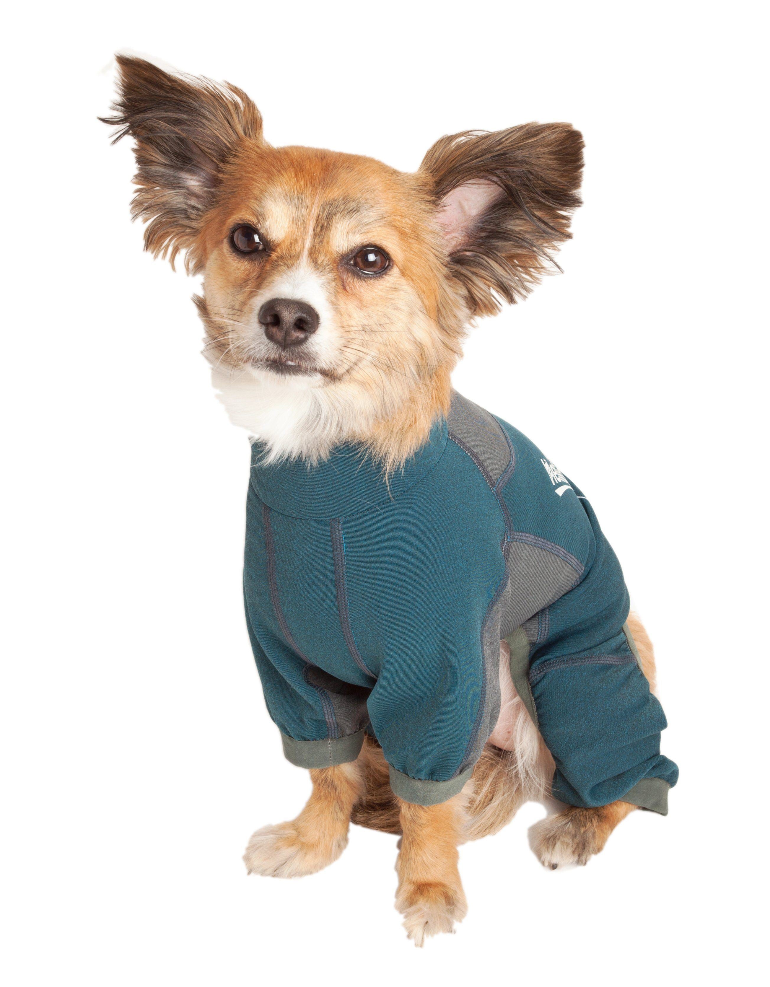 Dog Helios ® &
