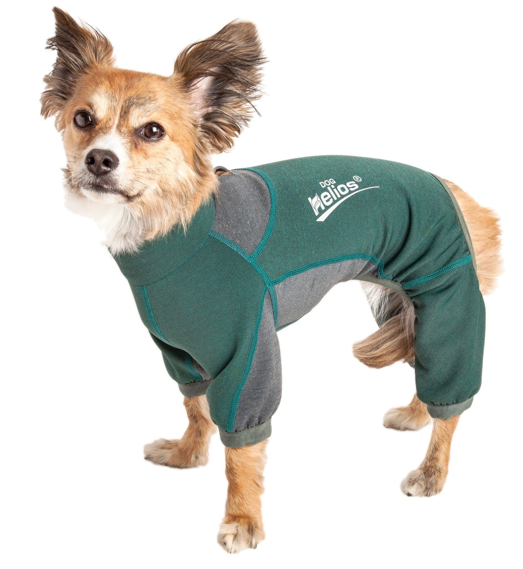 Dog Helios ® &