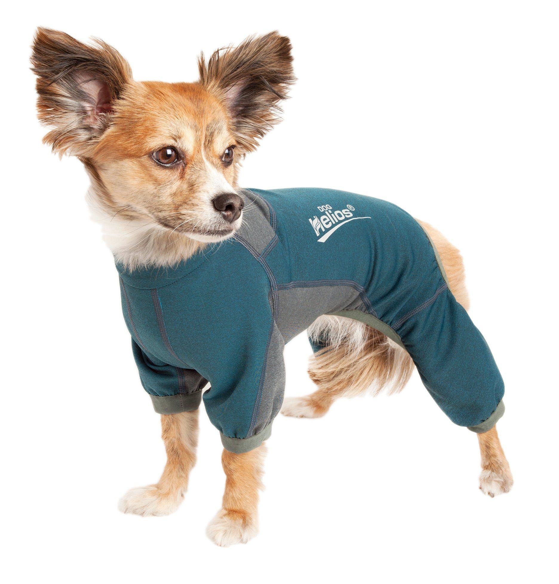 Dog Helios ® &