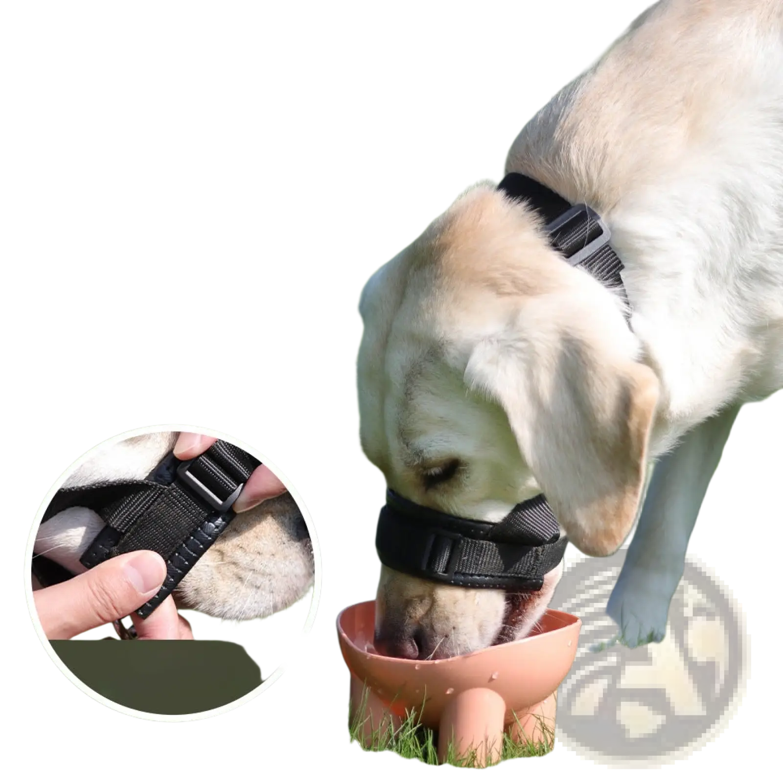 Dog Muzzle Adjustable Padded Nylon Anti Barking