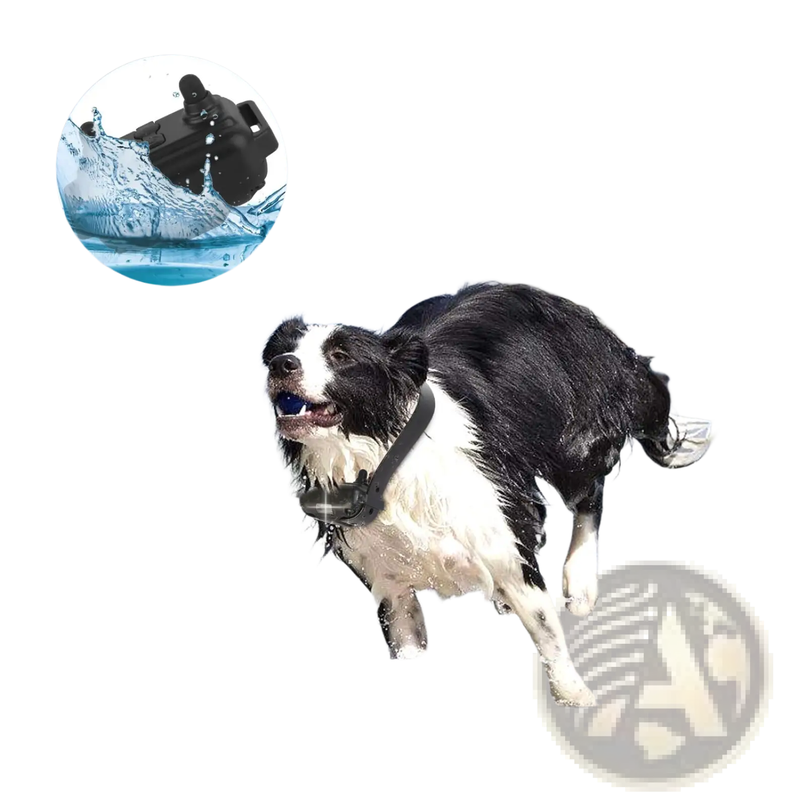 Dog Training Collar with Remote Ip67 Waterproof