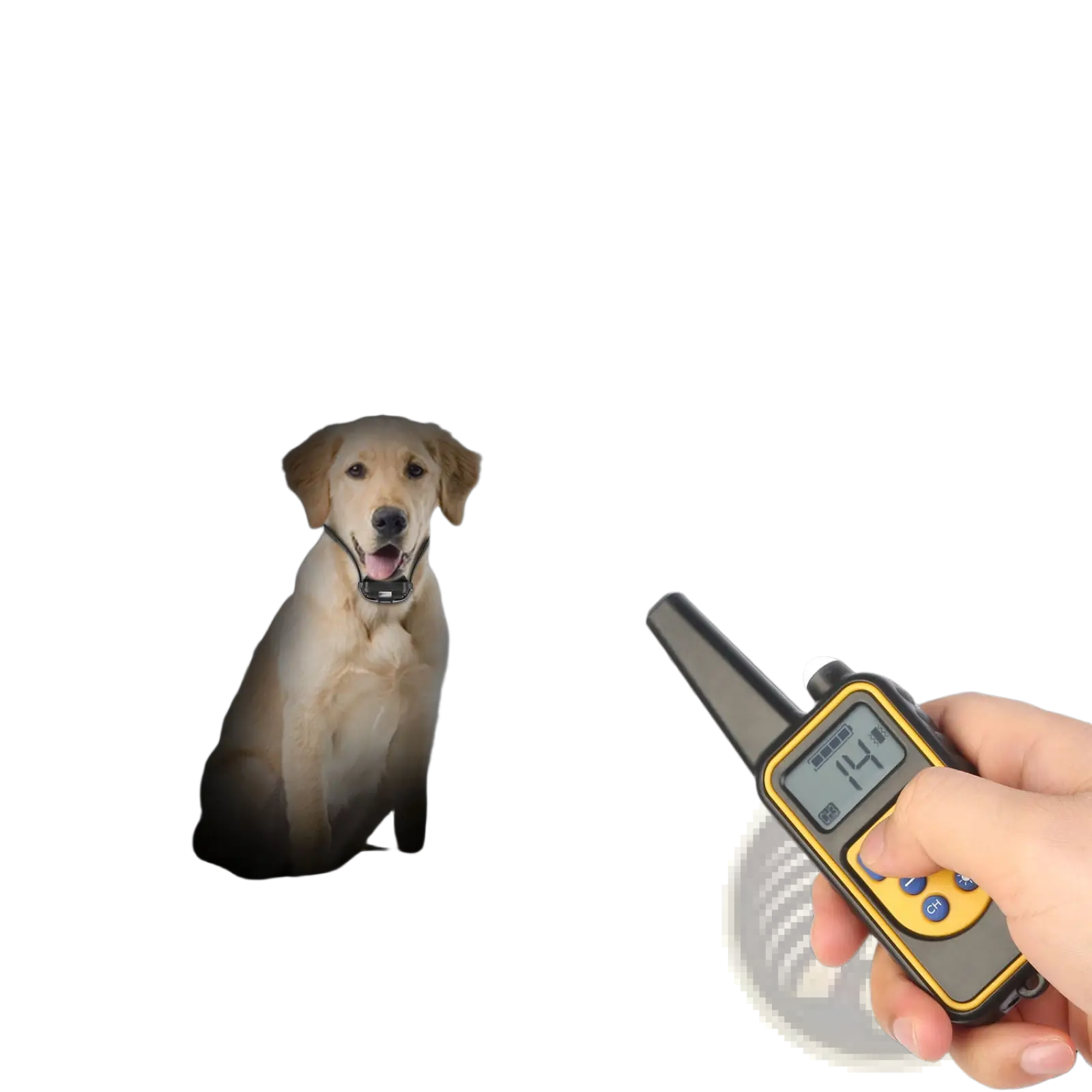 Dog Training Collar with Remote Ip67 Waterproof