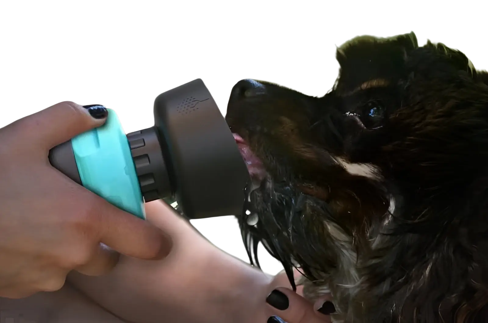 Dog Water Bottle Foldable Travel Dispenser Bowl