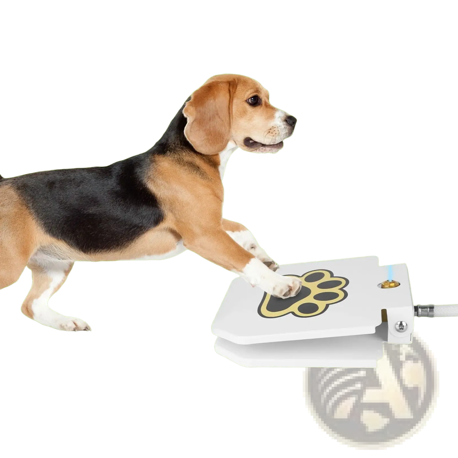 Dog Water Fountain Step on Outdoor Pet Sprinkler Valve