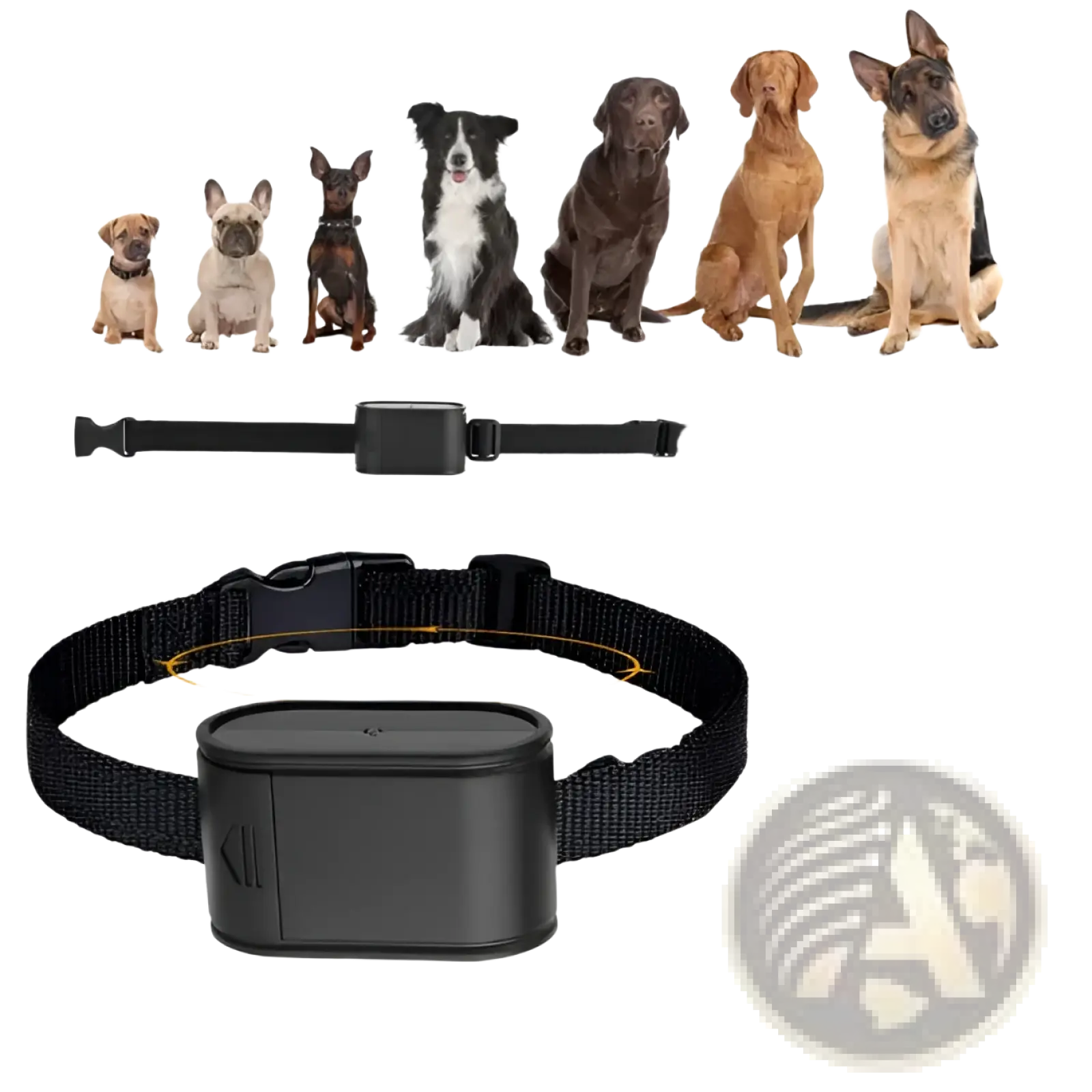 Electric Dog Fence System with 2 Collars and Wire