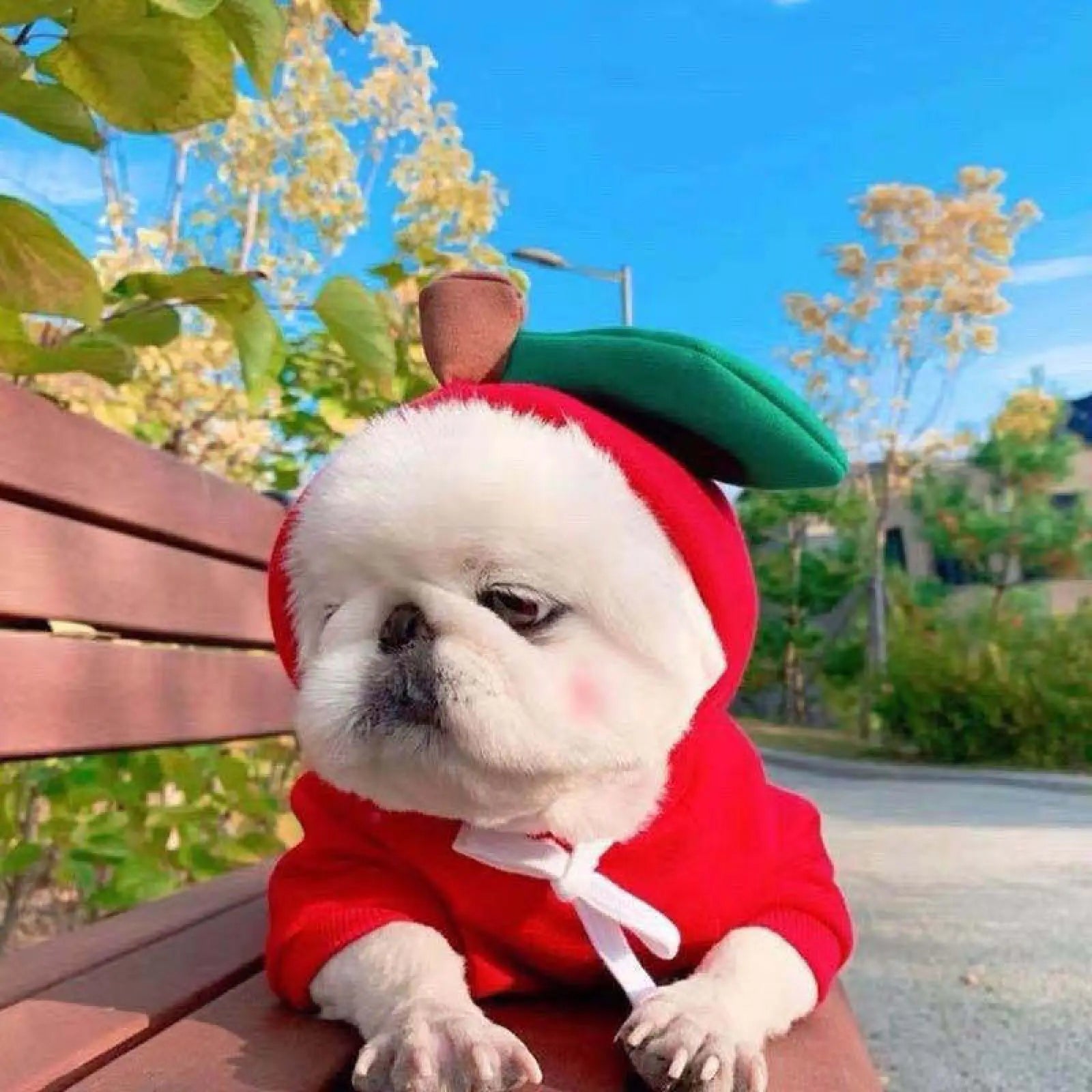 Fruit Dog Hoodie Warm Winter Fleece Puppy Clothes