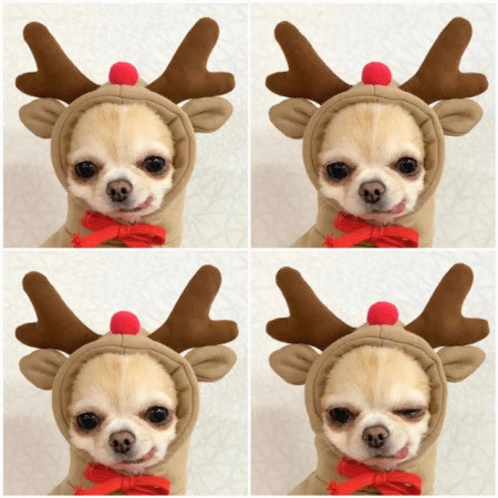 Fruit Dog Hoodie Warm Winter Fleece Puppy Clothes
