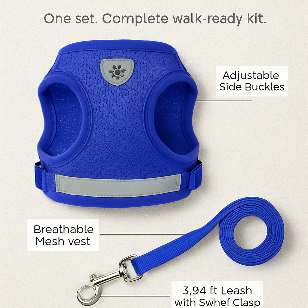 Pet Mesh Harness and Leash Set with Reflective Chest Strap