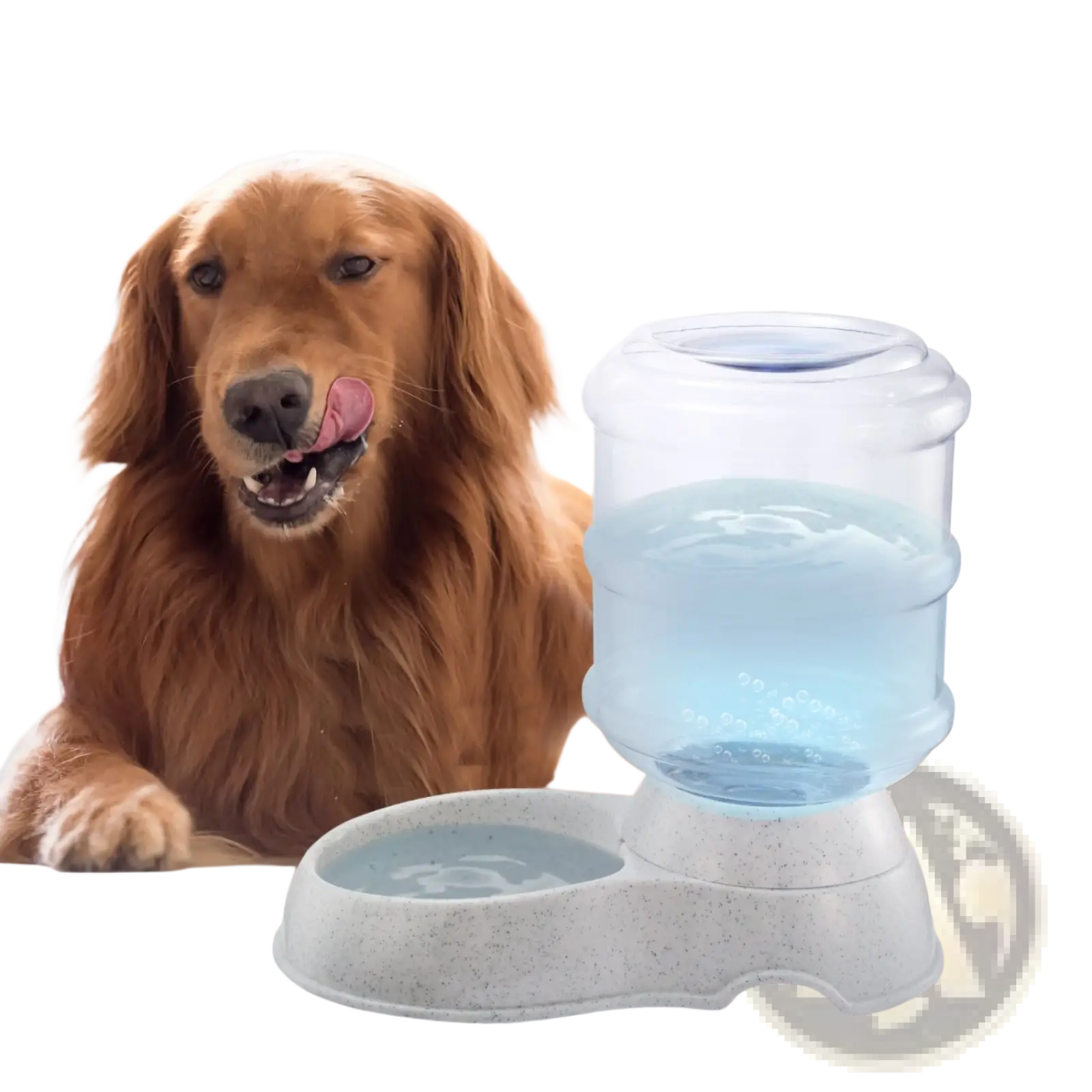 Gravity Pet Water Dispenser 3.5l Automatic Waterer
