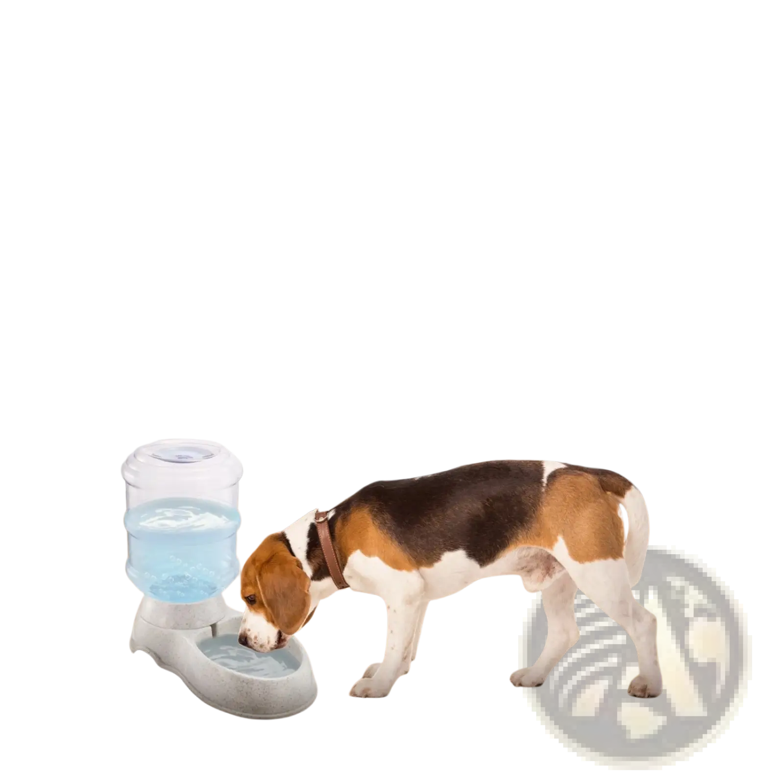 Gravity Pet Water Dispenser 3.5l Automatic Waterer