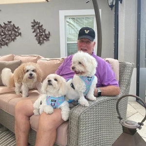 Flocktail Hour - Adjustable Dog Harness