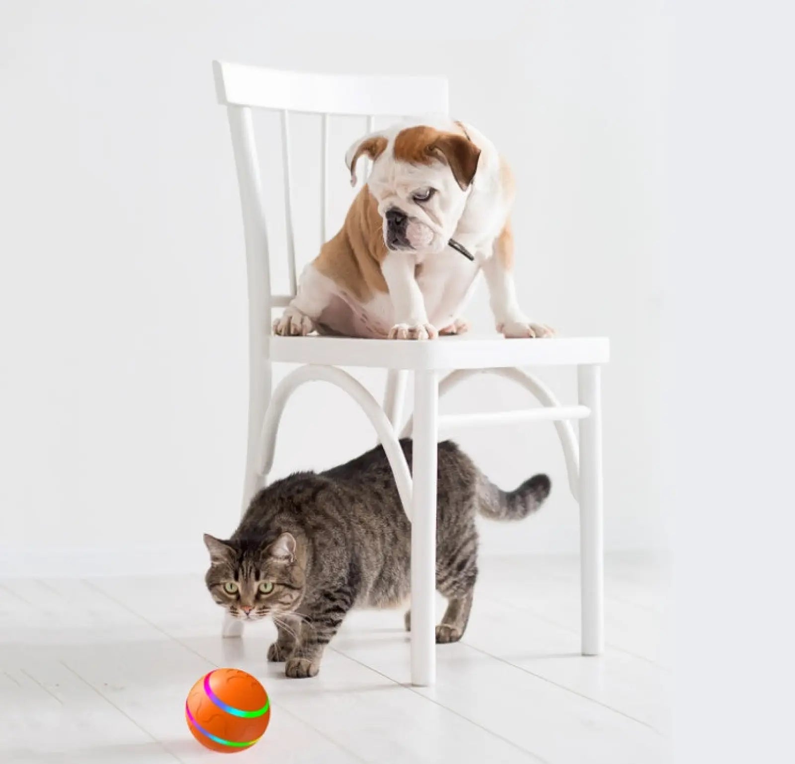 Interactive Cat Ball Toy Automatic Usb Rotating Ball
