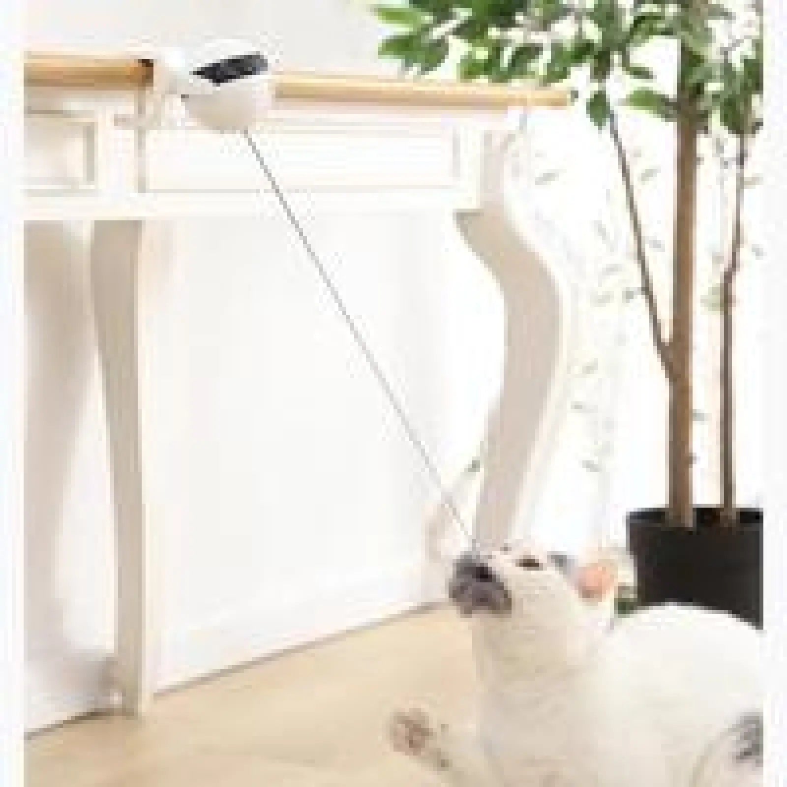Interactive Electronic Motion Cat Toy for Pets